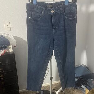 Melissa McCarthy Seven7 Women's Blue Ankle Jeans